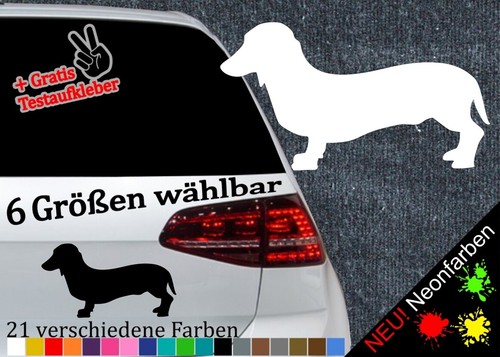 Kurzhaardackel aufkleber - aufkleber, 6