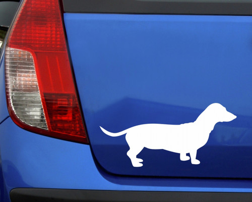 Samunshi dackel hunde - dackel,