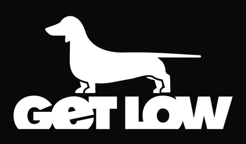 Get low dachshund dackel - low,