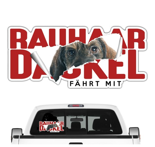 Auto aufkleber rauhaardackel - aufkleber,