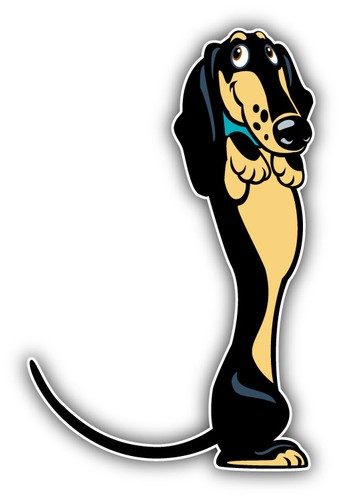 Dackel rasse hund - dackel,