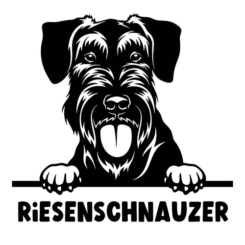 Autoaufkleber sticker - /,