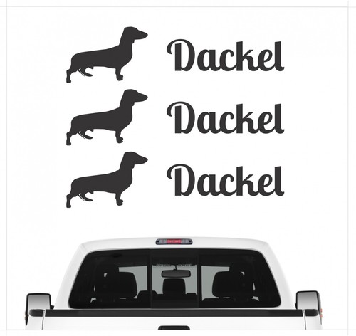 Dackel teckel dachshund - dackel,