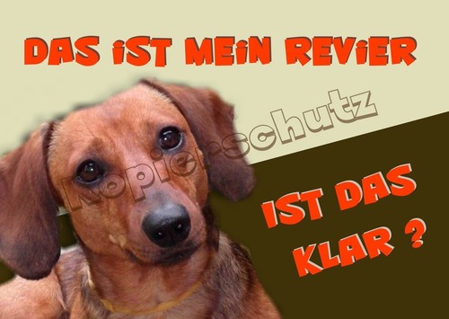 Dackel aufkleber - ,