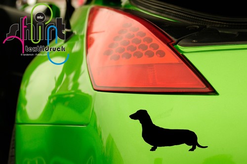 346 dackel dachshund - a,