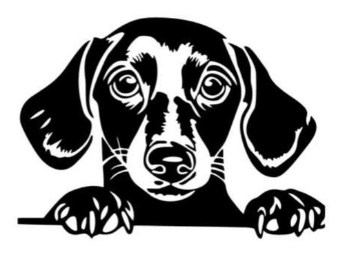 Dackel hund rasse - dackel,, hund,