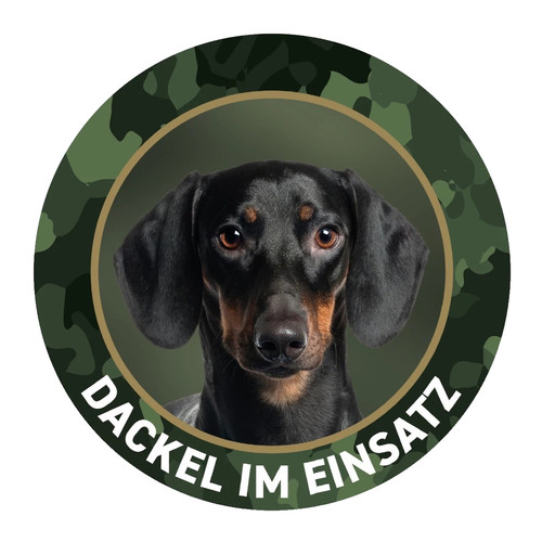 Dackel aufkleber auto kurzhaar - aufkleber,