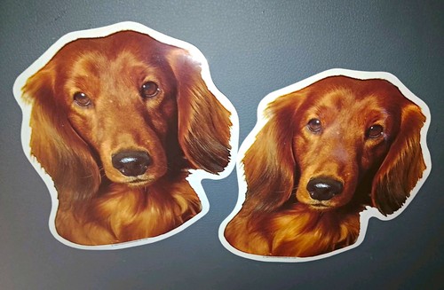 2er set dackel hundeaufkleber - dackel,