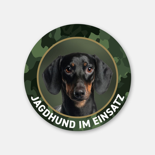 Kurzhaar dackel jagdhund - kurzhaar-dackel,