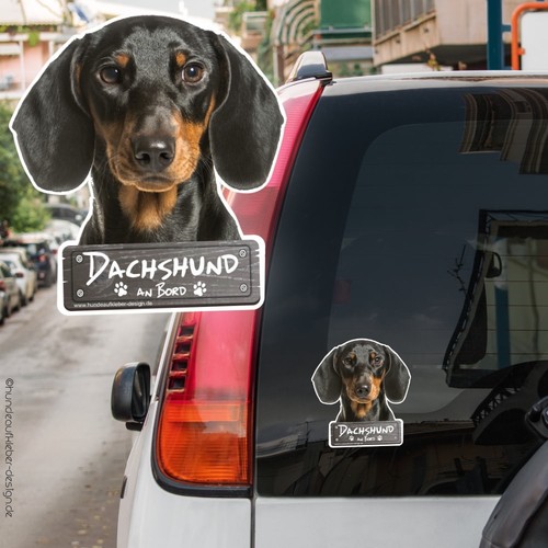 Dachshund bord - dachshund, an