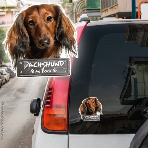 Dachshund bord - an,