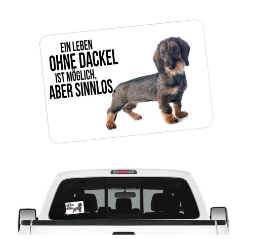 Rauhaardackel dackel - rauhaardackel,