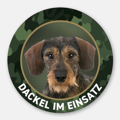 Dackel aufkleber auto rauhaar - aufkleber,