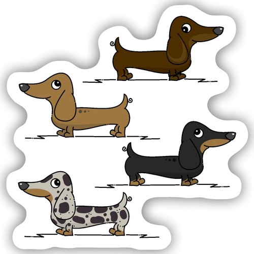 Witzig dackel hundebesitzer - dackel,